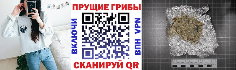 Галлюциногенные грибы Psilocybine cubensis  Дыгулыбгей 
